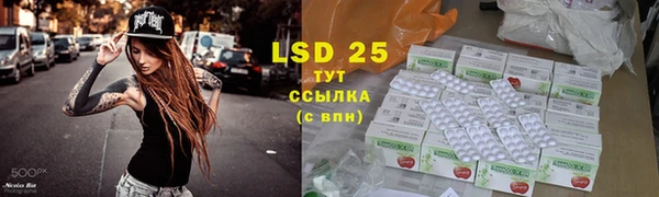 сатива Горно-Алтайск