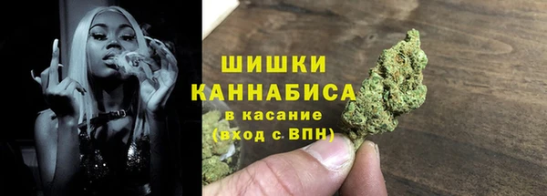 сатива Горно-Алтайск