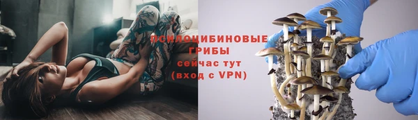 прущий лед Горняк