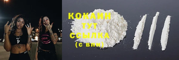прущий лед Горняк
