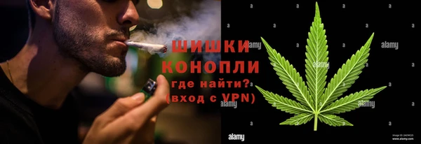 сатива Горно-Алтайск