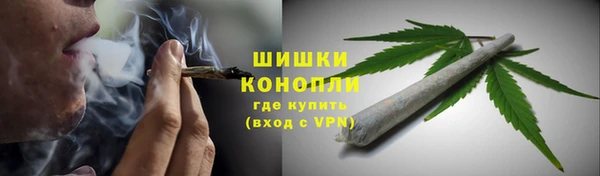 сатива Горнозаводск