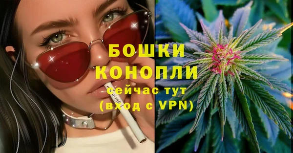 прущий лед Горняк