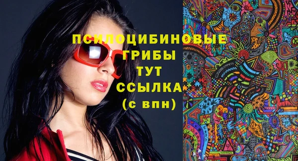сатива Горно-Алтайск