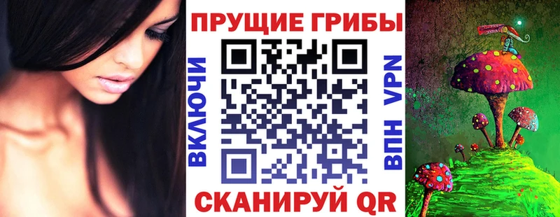 Псилоцибиновые грибы Cubensis  ссылка на мегу рабочий сайт  Жердевка 