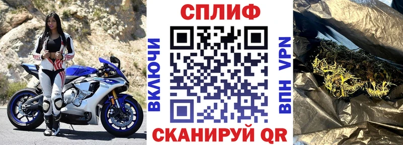 Бошки Шишки марихуана  где купить наркоту  Жердевка 